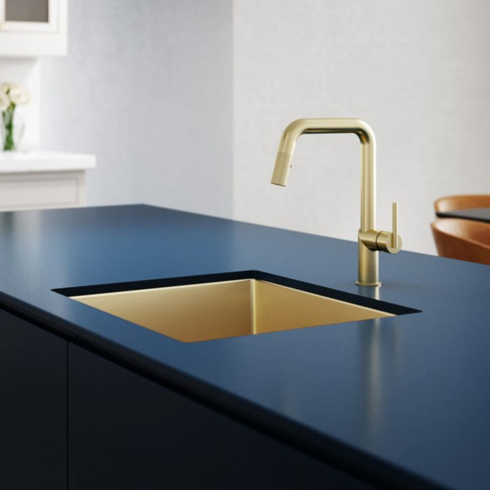 Kitchen faucet with spray square spout Vision IV Collection