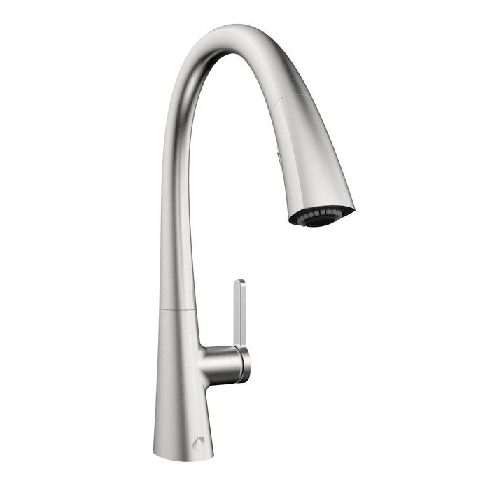 Kitchen faucet with swivel spout and removable spray Stainless steel