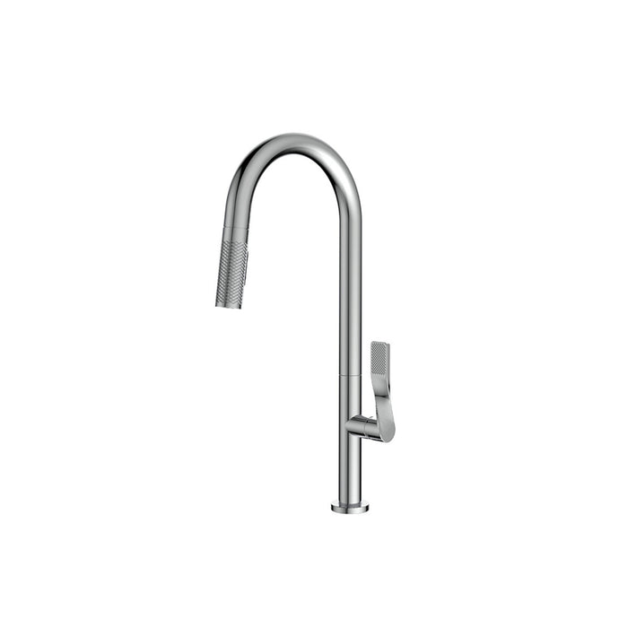 Kitchen faucet with 2-spray shower Grill Collection