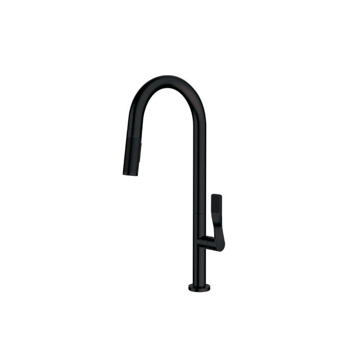 Kitchen faucet with 2-spray shower Grill Collection